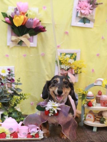 20230330ムギくん